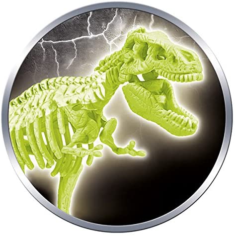 Squelette de Dinosaure Fluorescent à Assembler