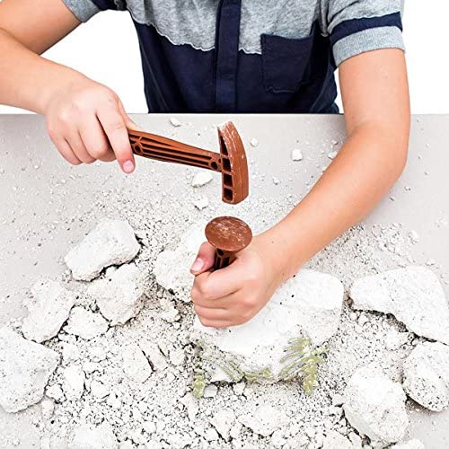 Archeo Ludic - Coffret de fouille dinosaures avec squelettes fluorescents