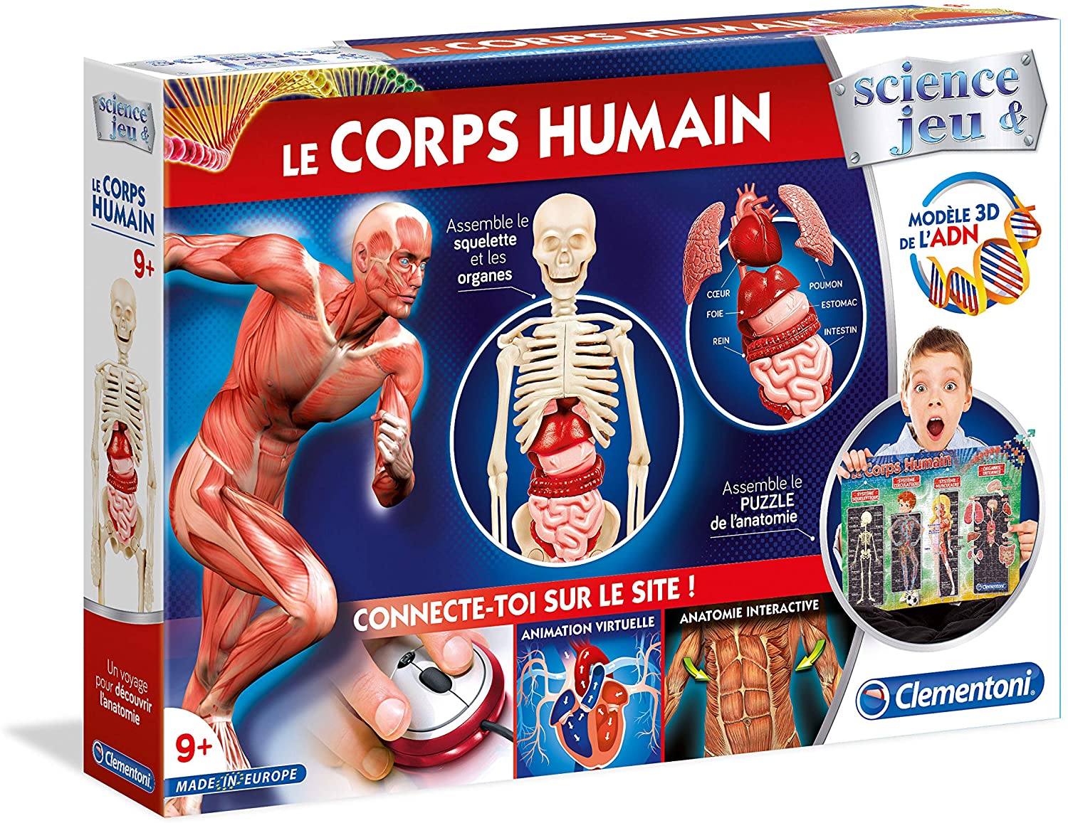 Jeu Éducatif Le Corps Humain Interactif avec Fiches