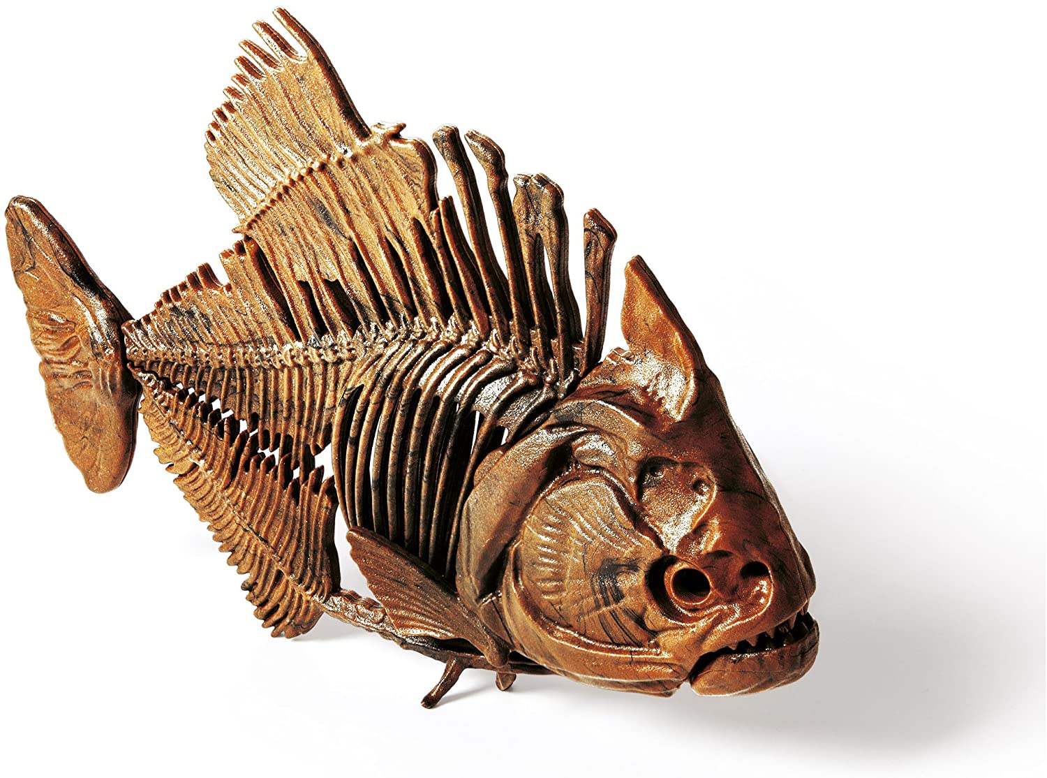Squelette de Poisson sous Verre Clementoni