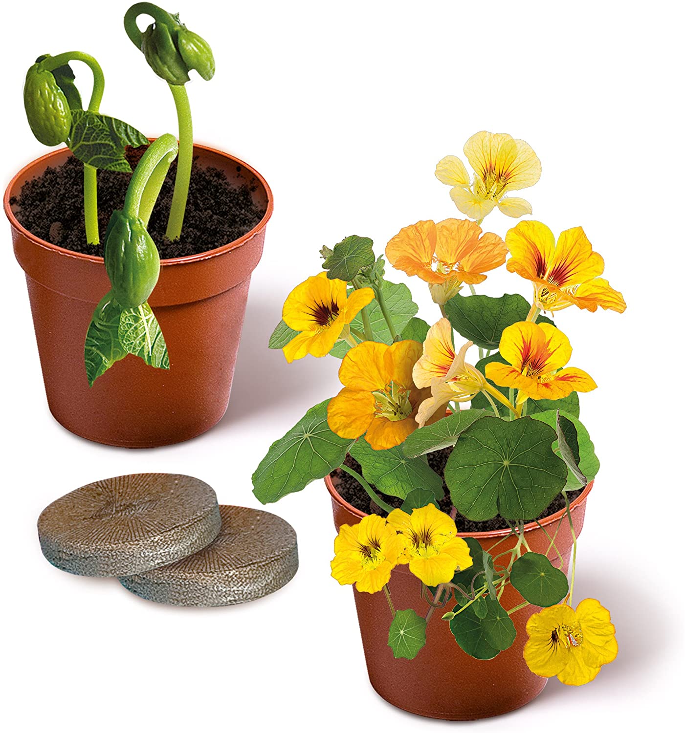 Kit de jardinage enfant Clementoni avec outils et graines