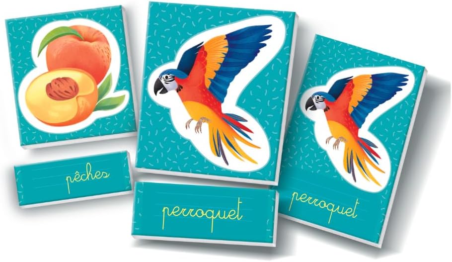 Mes Premiers Mots - Cartes Éducatives Montessori