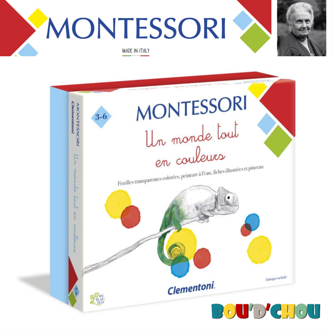 Coffret Montessori Un Monde en Couleurs - Jeu d'apprentissage des teintes