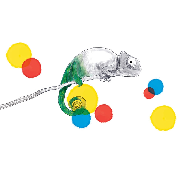 Jeu Montessori Caméléon - Apprentissage des Couleurs et Formes