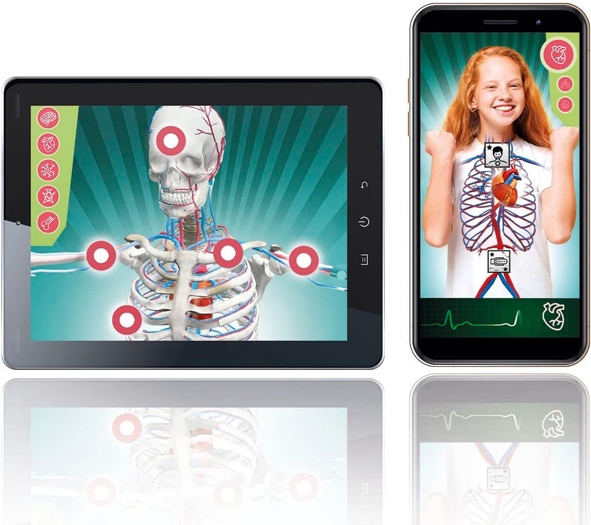 Kit Anatomie du Corps Humain - Modèle 3D Éducatif