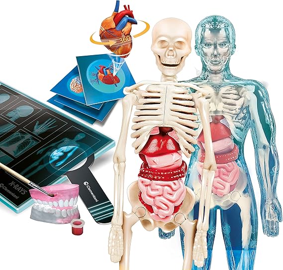 Jeu d'anatomie du corps humain interactif Clementoni