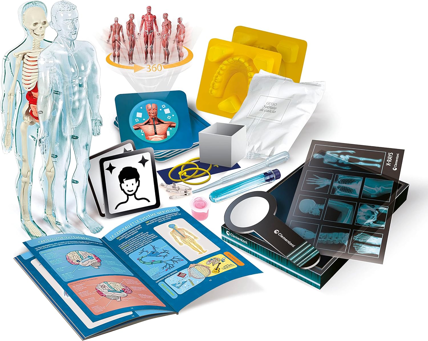 Kit d'Anatomie du Corps Humain - Modèle Éducatif Clementoni